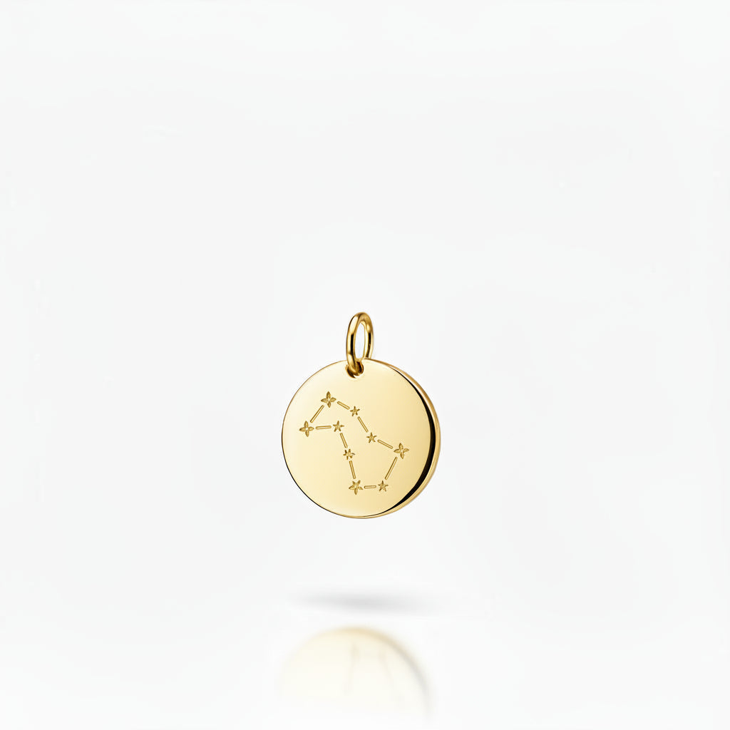 Personalized Zodiac Sign Necklace Round Pendant 925 Silver 18K Gold Plated 12 mm