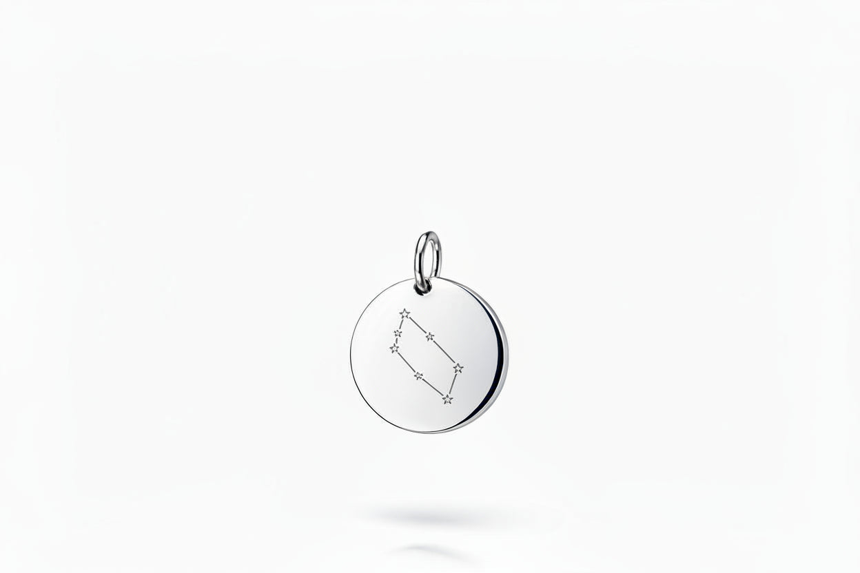 Personalized Zodiac Sign Necklace Pendant Round 925 Silver Rhodium Plated 12 mm