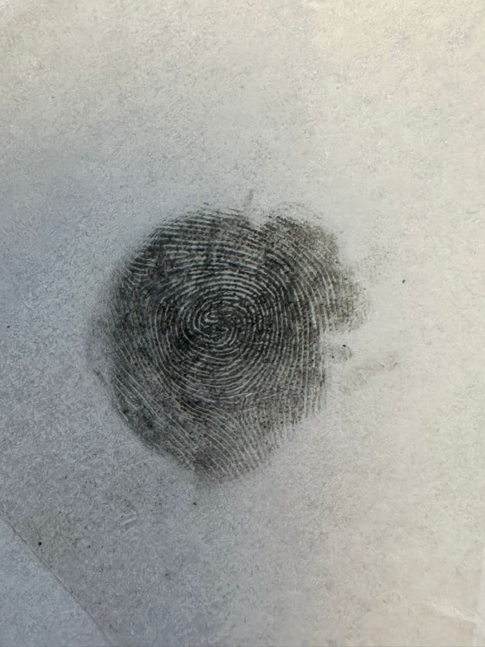 Schritt 4 Fingerabdruck