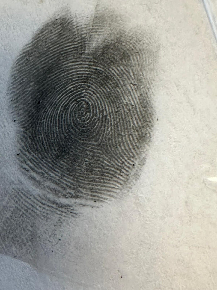 Schritt 1 Fingerabdruck