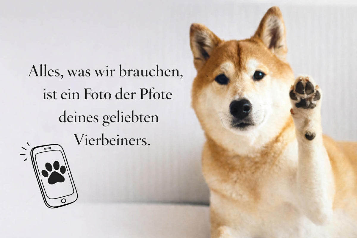 Pfoten- und Nasenabdrücke Anleitung