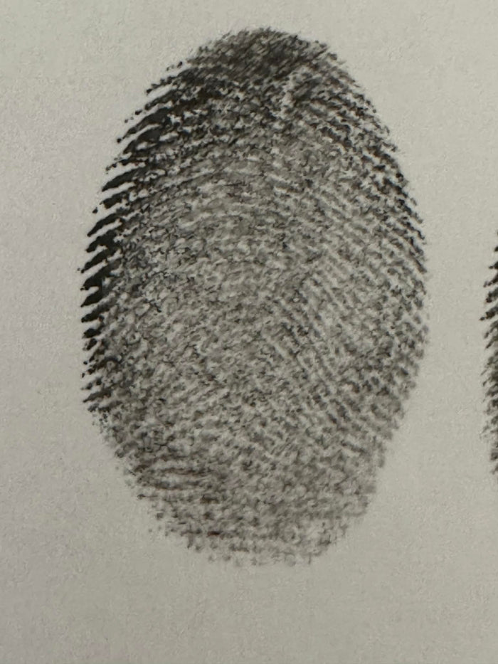 Schritt 3 Fingerabdruck